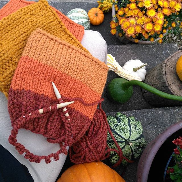 Candy corn or candy corn cat hat? 🎃🍁🍂